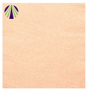 Serviette recyclée 2 plis 33x33. Livraison Express. Impréssion deux couleurs