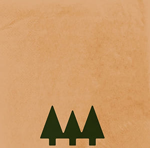 Serviette recyclée 2 plis 40x40. Livraison Standard. Impréssion deux couleurs