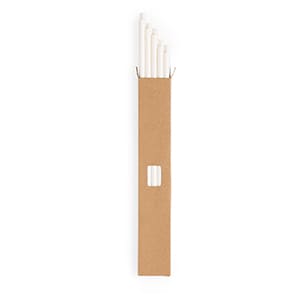 Set of 10 White paper straws. Blank