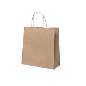 Bag Type A. Kraft paper bag with handle. Blank