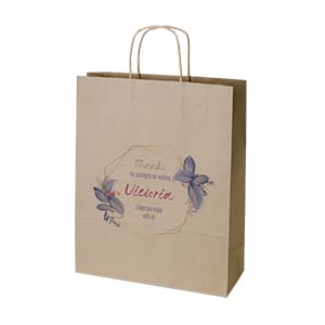Bag Type C. Customized kraft paper bag with handle. Full color print 1 side